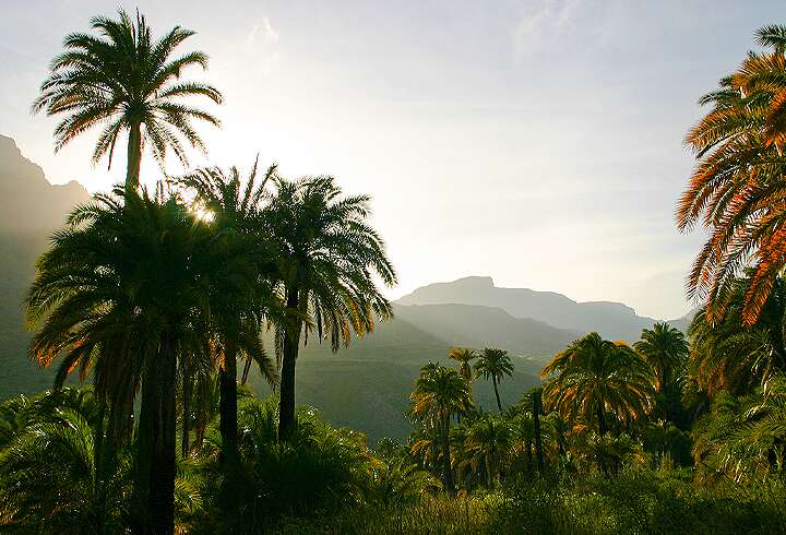Kanaria Gran Canaria