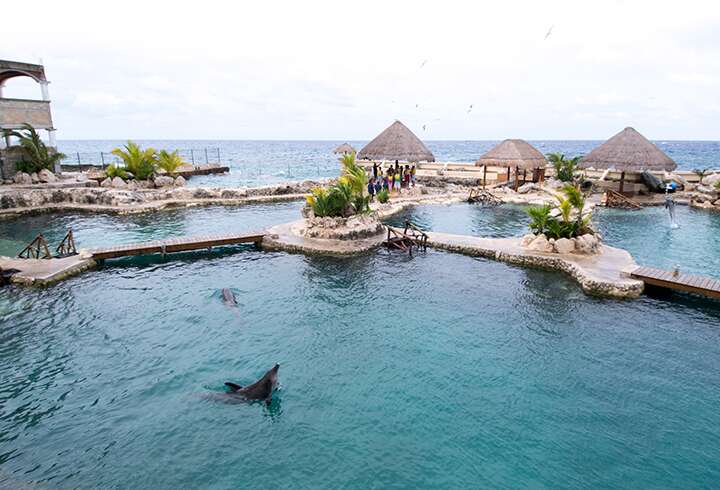 Cozumelin saaren viihtyisä rantapuisto.