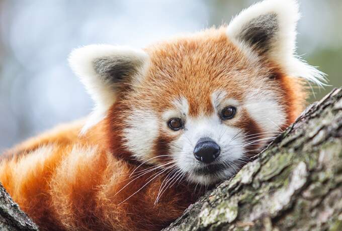 Kuva - muu kiinnostava kohde