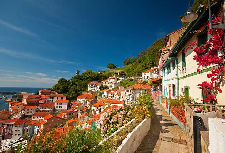 Nizzan rakennukset kukkineen. 