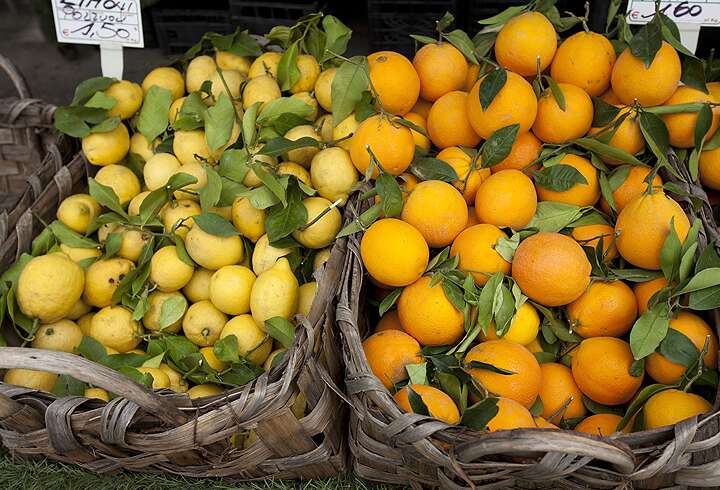 Sorrenton sitruunoita koreissa.