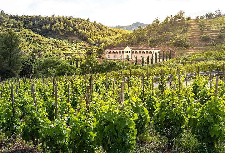 Viinikellarirakennus, jota ympäröivät viinitarhat Prioratin Gratallopsissa Kataloniassa Espanjassa.