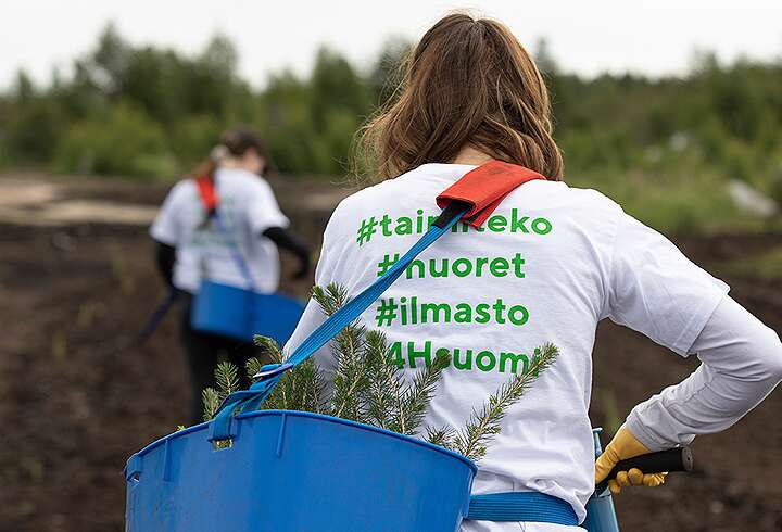 Taimiteko nuoret työskentelvät taimi-istutusten parissa.
