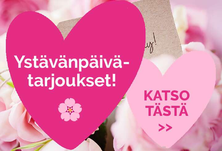 Ystävänpäivätarjoukset 13.-17.2.