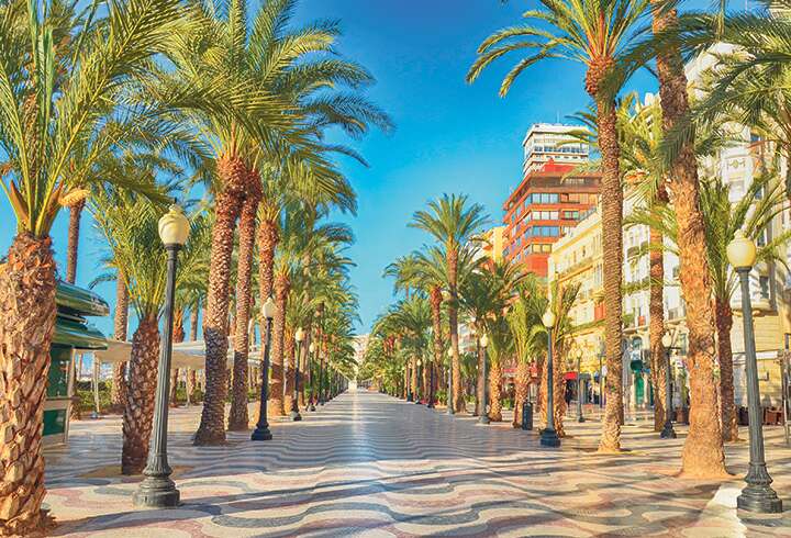 Palmukatu Alicantessa