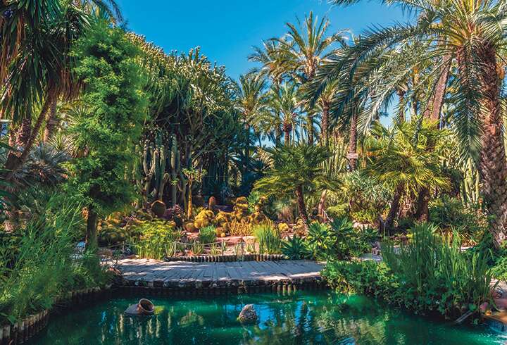 Huerto del Cura palmupuisto Elchessä