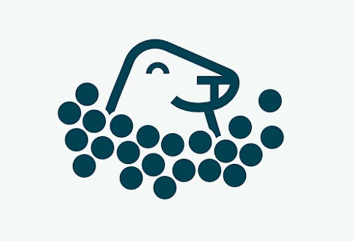 Harri Hylje -risteily.