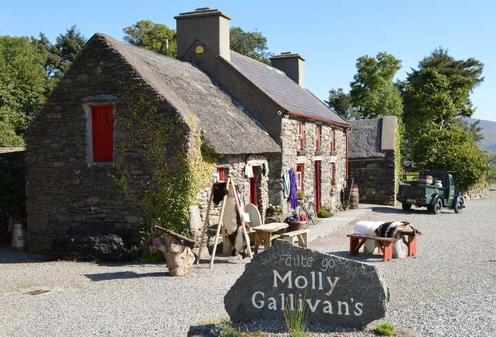 Molly Gallicans maatila.