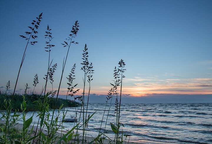 Tekemistä ja tapahtumia Itä-Virossa.