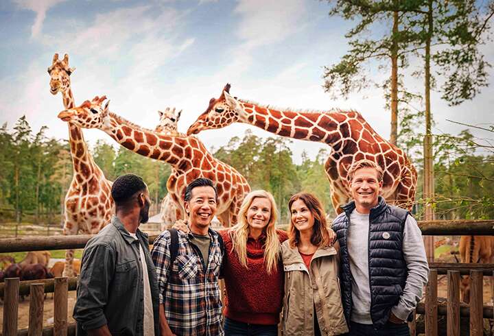 Ihmiset kirahvien edessä poseeraamassa kameralle. 