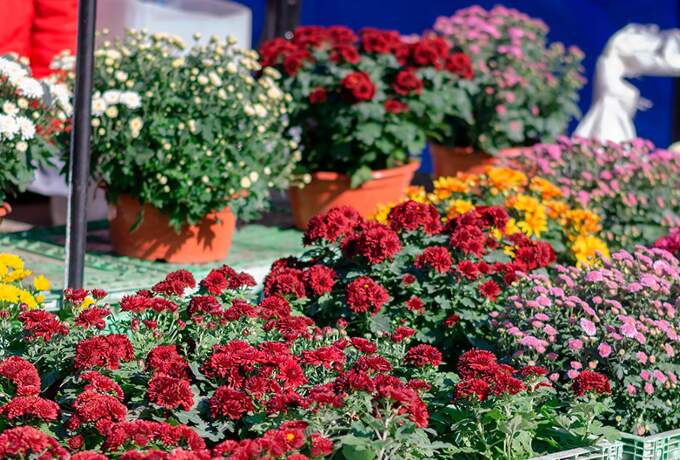 Kuva - muu kiinnostava kohde