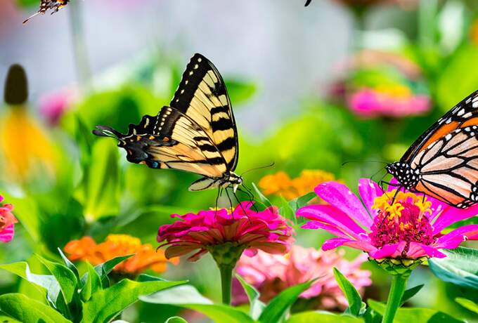 Kuva - muu kiinnostava kohde