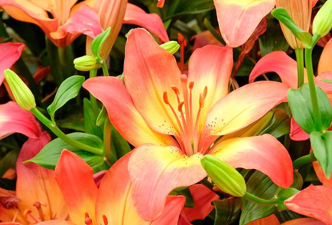 Kuva - muu kiinnostava kohde