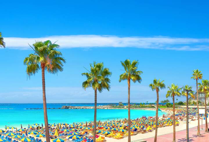 Las Palmasin palmut. 