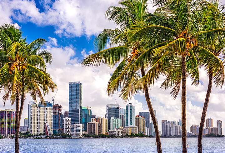 Miamin rakennukset ja palmut. 