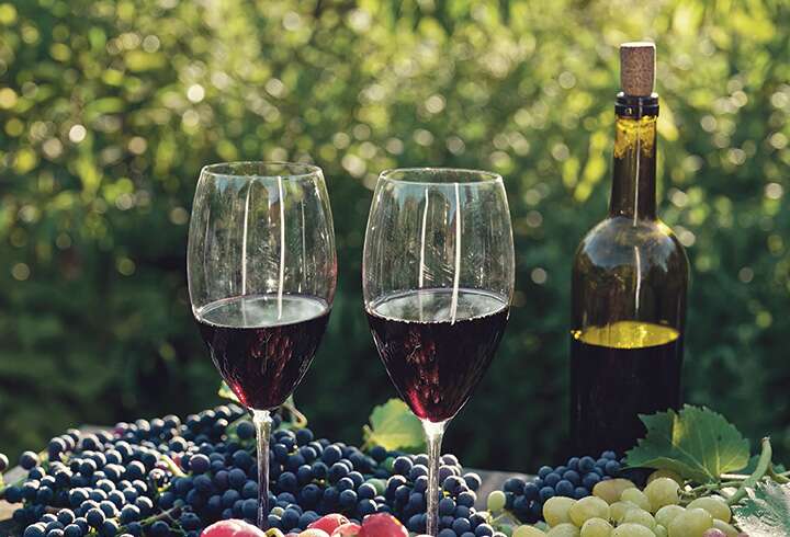 punaviiniä viinitilalla