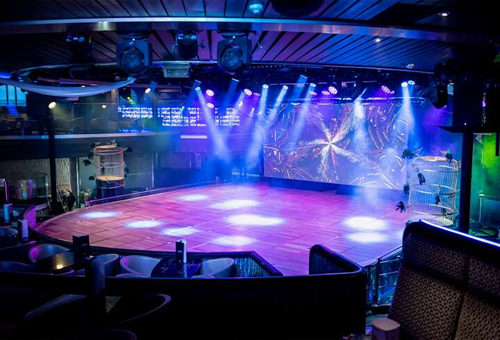 Starlight Serenadella.