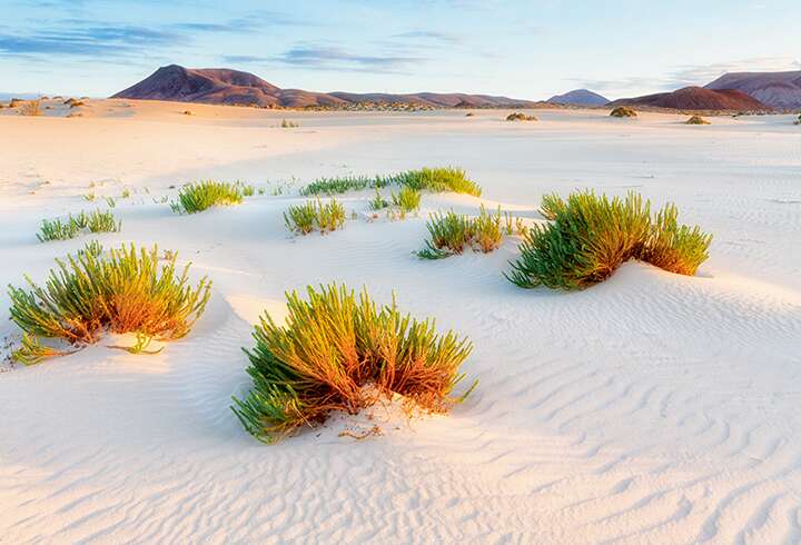 Fuerteventuran saaren hiekkaranta. 