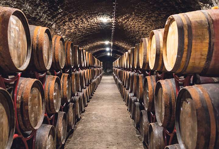 viinikellari lähellä Egeriä