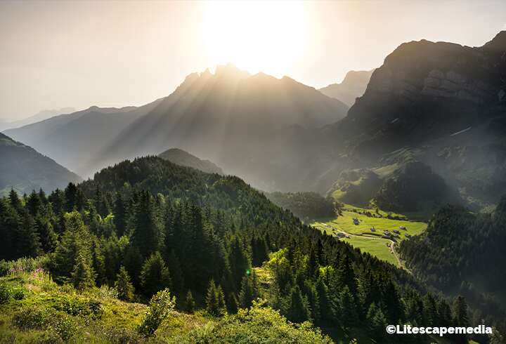 Barmazonin ylänkö auringonpaisteessa. 